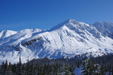 Fototapeta Krajobraz - Zimowy pejzaż z Doliny Gąsienicowej w Tatrach 