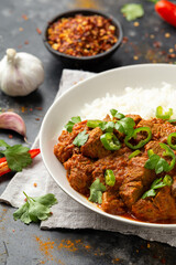 Wall Mural - Traditional Beef curry with rice and Spicy