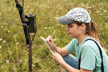 Woman Scientist Zoologist Writing Down Data From Trap Camera To Notepad, Observing Wild Animals