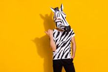 Photo Of Eccentric Funky Man Wear Zebra Print T-shirt Mask Pointing Thumb Finger Empty Space Isolated Yellow Color Background