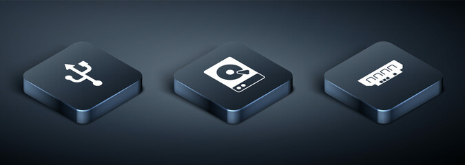 Set Isometric USB, RAM, random access memory and Hard disk drive HDD icon. Vector