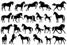 Horses Set Black Silhouette, Isolated, Vector