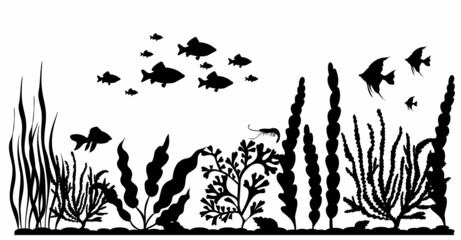 Wall Mural - floating fish in seaweed silhouette, isolated, vector