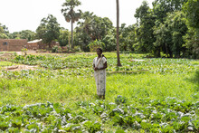 Black African Farmer Standing In His Field With A Hoe On His Shoulder Smiling At The Camera