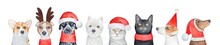 Dogs And Cats Wearing Cute Christmas Accessories, Reindeer Antlers And Red Santa Hat. Hand Painted Watercolour Drawing, Isolated Clip Art Elements For Design And Christmas Holidays Celebration.