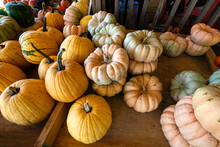 Autumn Background Of Assorted Pumpkins
