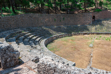 Wall Mural - The ancient greek theater of Delphi in the archaeological site in Delphi, Fokida, Greece