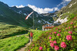 © Westend61 - Man and woman hiking in Virgental during spring with Bergerseehutte in background