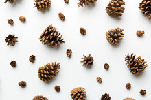 Pine Cones On Colored Table. Natural Holiday Background With Pinecones Grouped Together. Flat Lay. Winter Concept