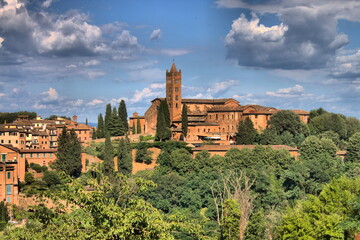 Wall Mural - Basilica of Santa Maria dei Servi in Siena, Italy