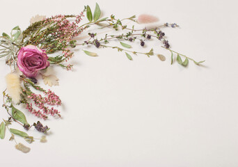 Poster - dried flowers on white background