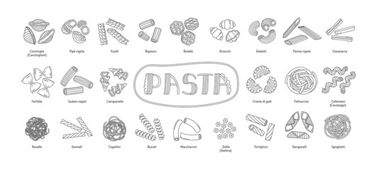 Types of Italian pasta. Vector food sketch bundle. Macaroni illustration set. Rigatoni, fusilli and garganelli. Noodle, stelle, conchiglie and spaghetti. Farfalle, tortiglioni and penne rigate