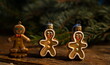 Cookies. Festive decoration for Christmas. Hand-made decorations for the Christmas tree. A three pack of amusing dough claws on tele spruce branches.