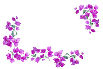 Wall Mural - Corner frame of exotic purple bougainvillea flower. Isolated on white background. Hand drawn watercolor. Copy space.