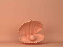 Shell With Pearl Inside