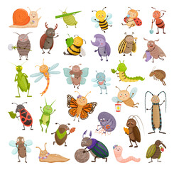 Wall Mural - Collection of cute insects in cartoon style. Illustrations for children.