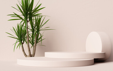 Wall Mural - Yucca plant and geometric podium decoration elements for cosmetic product display, object placement mockup with plant 3d rendering