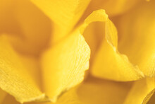 Fragment Of A Yellow Flower Made Of Crepe Paper. Macro Photography