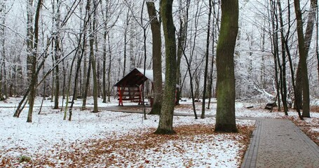 Poster - Wooden gazebo in nature in winter