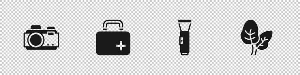 Poster - Set Photo camera, First aid kit, Flashlight and Tropical leaves icon. Vector