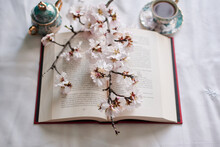 Still Life Of A Book, Coffee Cups And Almond Blossoms. Reading Concept
