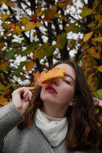 Girl Holding Yellow Leaf Near Face