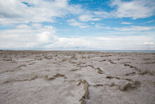Crusty Desert Shore Of Salton Sea In California