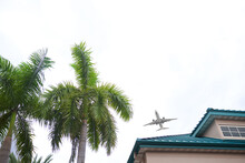 Airplane Flying Over The Palm Trees And Residential Building