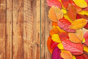 Poster - Colorful fall leaves on wooden boards. Festive autumn background,