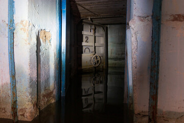 Wall Mural - a sealed door in a flooded shelter