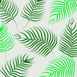 © Ton28 Studio - Pattern palm tree  is simple design, suitable for decoration