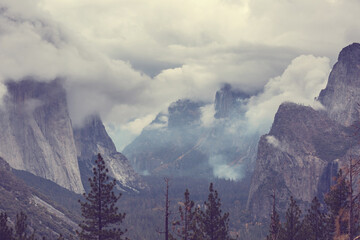 Canvas Print - Yosemite