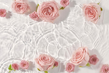  Pink roses in water, top view, copy space. Valentines or woman's day background. Nature bloom idea.
