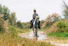 Woman Riding Horse On Water Amidst Grass During Sunny Day