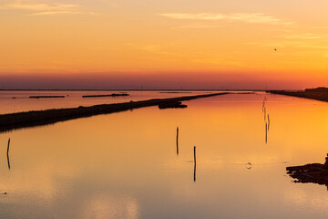 Poster - Comacchio's lagoons - Po Delta Natural Park