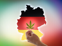 A Woman's Hand Holds A Cannabis Leaf Against The Background Of The German Flag. The Concept Of Marijuana Legalization In Germany.
