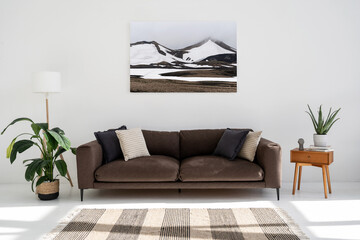 Wall Mural - Modern living room interior with plants and carpet
