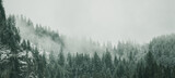 Fototapeta Las - Amazing mystical rising fog forest snow snowy trees landscape snowscape in black forest ( Schwarzwald ) winter, Germany panorama banner - dark mood.