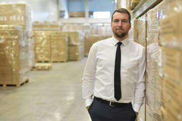 Wall Mural - portrait friendly businessman/ manager in suit working in the warehouse of a company