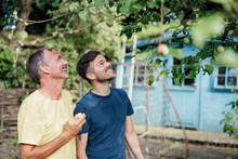 Curious son looking at tree while standing with father holding Granny smith apple in backyard