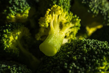 Frozen Green Broccoli Florets On Dark Background Closup