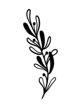 Mistletoe Vector Illustration. Floral Hand Drawn Ilex. Christmas Linear Element In Modern Style. Elegant Silhouette Isolated On White Background. Mistletoe Line Art For Invitation, Card, Poster.