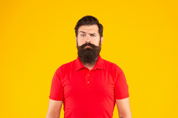Wall Mural - serious bearded man with moustache in tshirt on yellow background, face