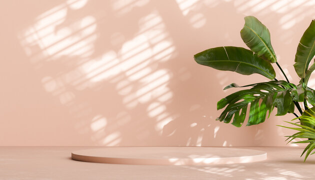 Wall Mural - Minimal modern product display on beige background with cylinder podium with palm leaves, 3d rendering
