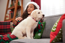 A Young Girl Sitting On Couch With Puppy On Her Lap As A Christmas Present.