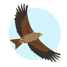 Hawk, Kite Or Brown Eagle Predatory Bird In Sky Isolated On White Background. Nature And Wildlife, Birdwatching And Ornithology Design. Vector Cartoon Or Flat Illustration.