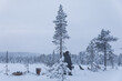 © SuperStock - Winter scene in Swedish Lapland