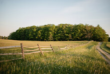A Country Field At Golden Hour