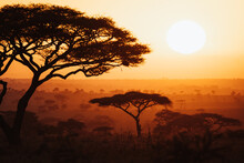 Sunset In Africa