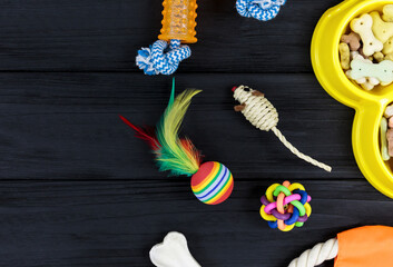 Wall Mural - Different accessories for dogs and cats: mouse toy, ball, comb, leash, collar, toys and bowl with bones on black wooden background. Pets care and routine concept. close up, top view